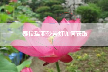 泰拉瑞亚砂岩灯如何获取
