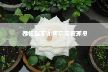 泰拉瑞亚如何启用管理员