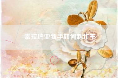 泰拉瑞亚新手如何制作车