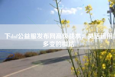 下dnf公益服发布网高级战术：灵活运用多变的棋路