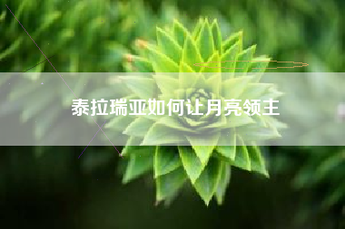 泰拉瑞亚如何让月亮领主