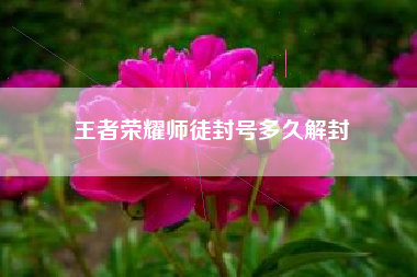 王者荣耀师徒封号多久解封