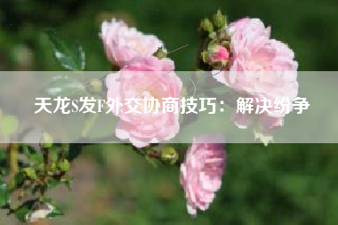 天龙S发F外交协商技巧：解决纷争