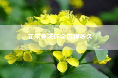 艾尔登法环全流程多久