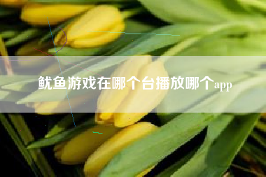 鱿鱼游戏在哪个台播放哪个app