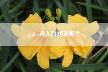 pubg进入游戏选哪个