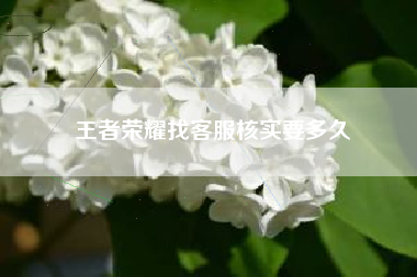 王者荣耀找客服核实要多久