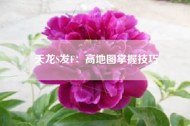 天龙S发F：高地图掌握技巧