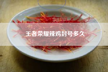 王者荣耀辣鸡封号多久