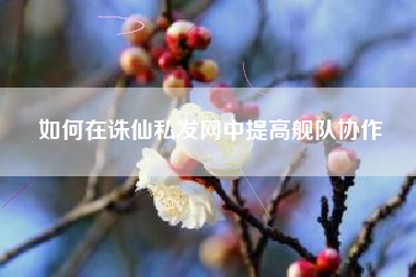 如何在诛仙私发网中提高舰队协作