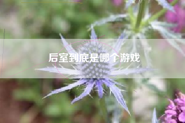 后室到底是哪个游戏