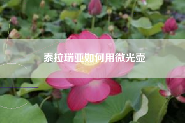 泰拉瑞亚如何用微光壶