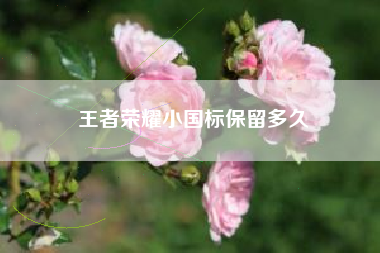 王者荣耀小国标保留多久