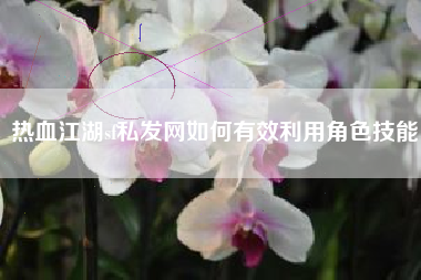 热血江湖sf私发网如何有效利用角色技能