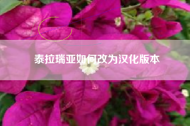 泰拉瑞亚如何改为汉化版本