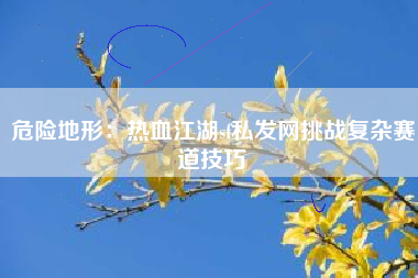 危险地形：热血江湖sf私发网挑战复杂赛道技巧