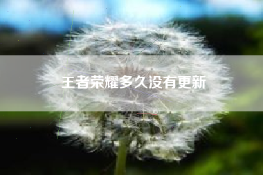 王者荣耀多久没有更新