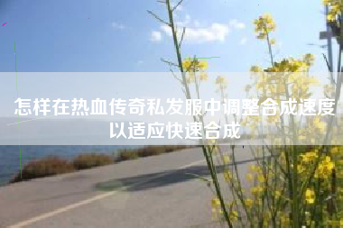 怎样在热血传奇私发服中调整合成速度以适应快速合成