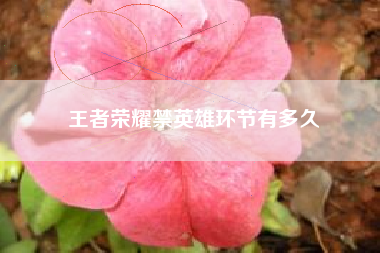 王者荣耀禁英雄环节有多久