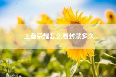 王者荣耀怎么看封禁多久