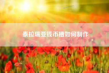泰拉瑞亚钱币槽如何制作