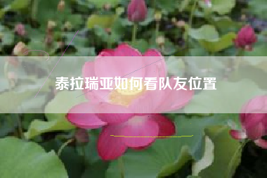 泰拉瑞亚如何看队友位置