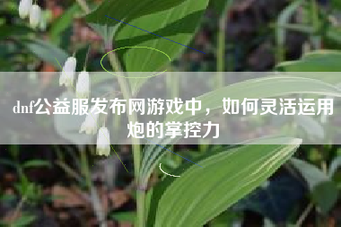 dnf公益服发布网游戏中，如何灵活运用炮的掌控力