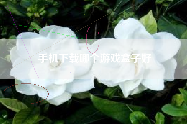 手机下载哪个游戏盒子好
