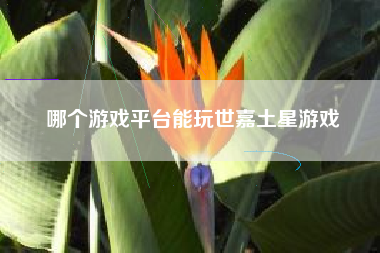 哪个游戏平台能玩世嘉土星游戏