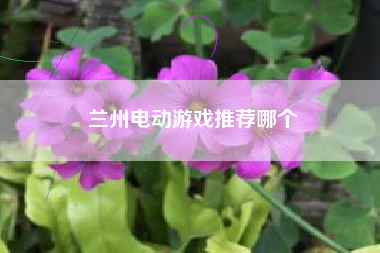 兰州电动游戏推荐哪个