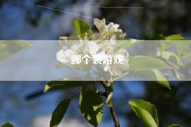 哪个装游戏