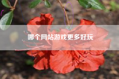 哪个网站游戏更多好玩