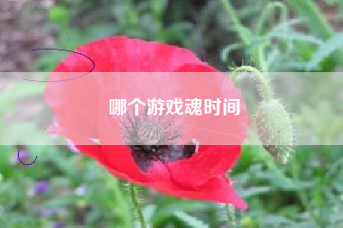 哪个游戏魂时间