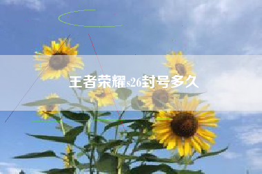 王者荣耀s26封号多久