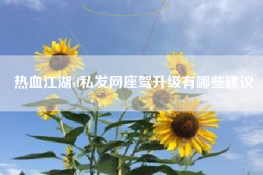 热血江湖sf私发网座驾升级有哪些建议