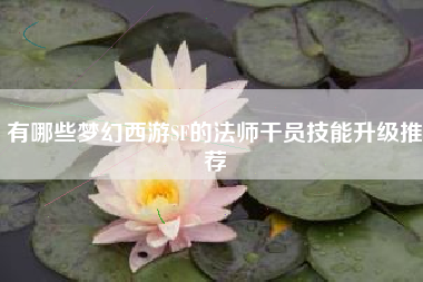 有哪些梦幻西游SF的法师干员技能升级推荐