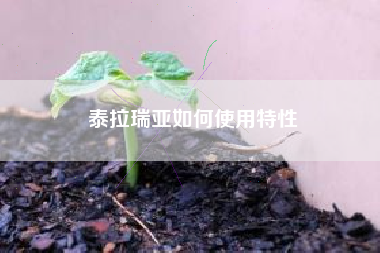 泰拉瑞亚如何使用特性