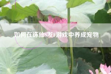 如何在诛仙S发F游戏中养成宠物