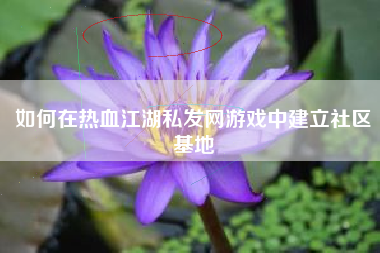 如何在热血江湖私发网游戏中建立社区基地