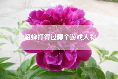 貂蝉打得过哪个游戏人物