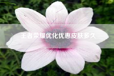 王者荣耀优化优惠皮肤多久