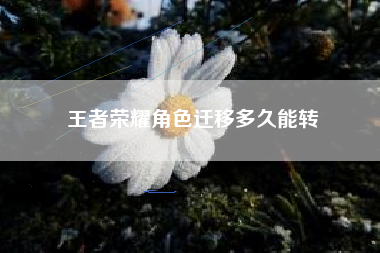 王者荣耀角色迁移多久能转