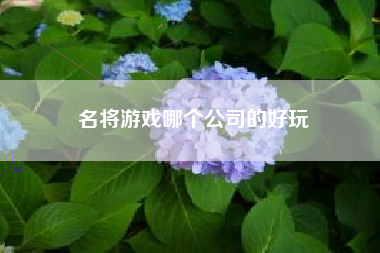 名将游戏哪个公司的好玩