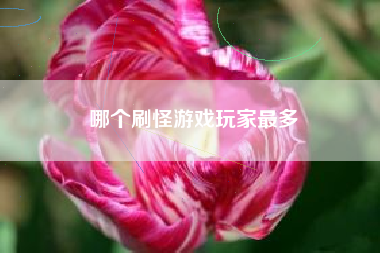 哪个刷怪游戏玩家最多