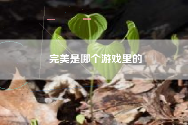 完美是哪个游戏里的