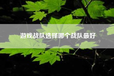 游戏战队选择哪个战队最好