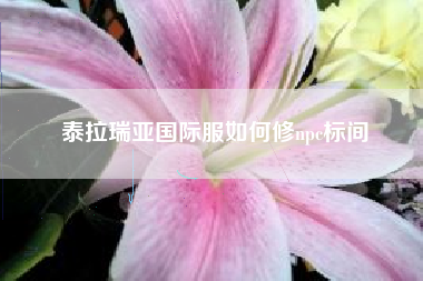 泰拉瑞亚国际服如何修npc标间