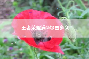 王者荣耀满30级要多久