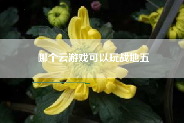 哪个云游戏可以玩战地五