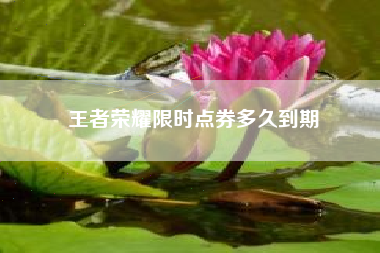 王者荣耀限时点券多久到期